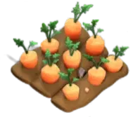 Sweet Carrots