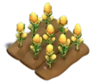Tasty Corn