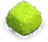 Bush
