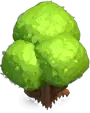 Large Tree